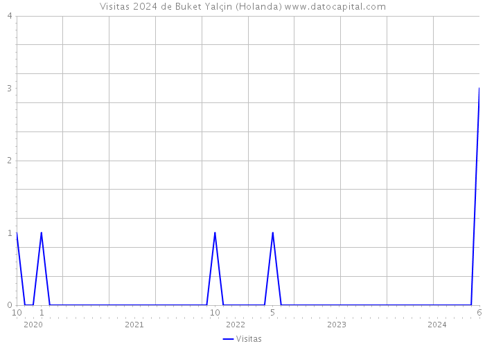 Visitas 2024 de Buket Yalçin (Holanda) 