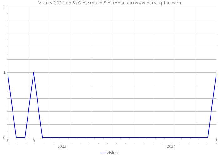 Visitas 2024 de BVO Vastgoed B.V. (Holanda) 