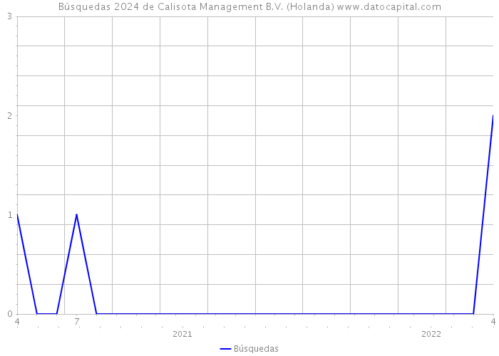 Búsquedas 2024 de Calisota Management B.V. (Holanda) 