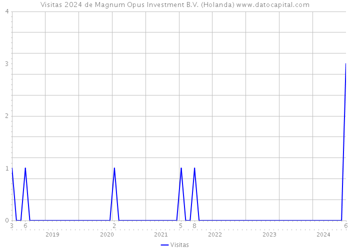 Visitas 2024 de Magnum Opus Investment B.V. (Holanda) 