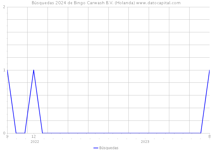 Búsquedas 2024 de Bingo Carwash B.V. (Holanda) 