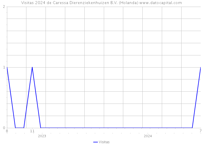 Visitas 2024 de Caressa Dierenziekenhuizen B.V. (Holanda) 