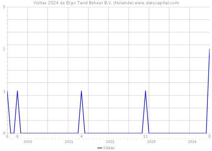 Visitas 2024 de Ergo Tand Beheer B.V. (Holanda) 