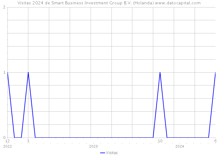 Visitas 2024 de Smart Business Investment Group B.V. (Holanda) 