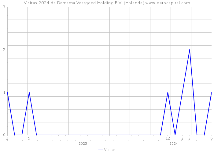 Visitas 2024 de Damsma Vastgoed Holding B.V. (Holanda) 