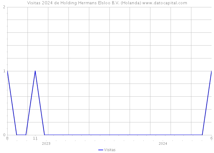 Visitas 2024 de Holding Hermans Elsloo B.V. (Holanda) 