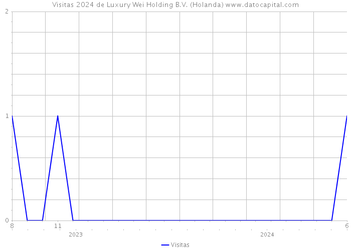 Visitas 2024 de Luxury Wei Holding B.V. (Holanda) 