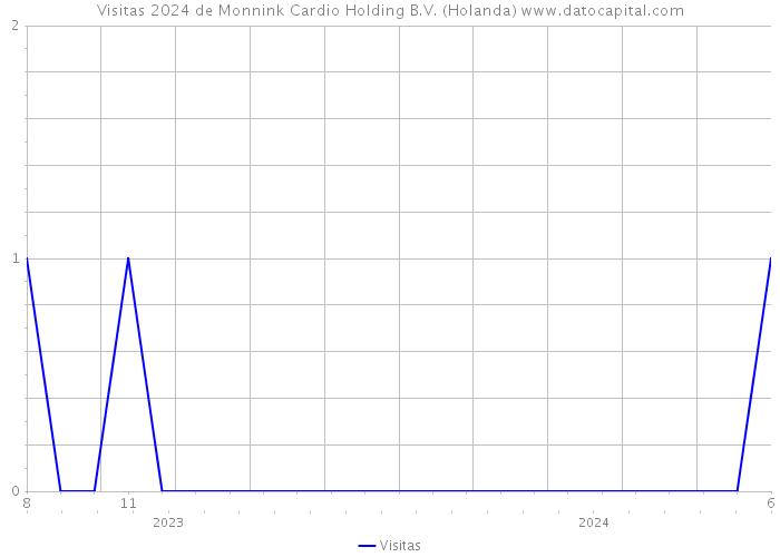 Visitas 2024 de Monnink Cardio Holding B.V. (Holanda) 