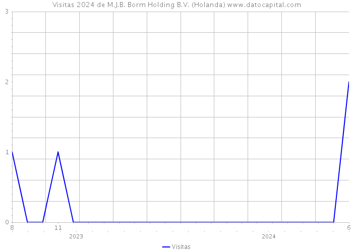 Visitas 2024 de M.J.B. Borm Holding B.V. (Holanda) 