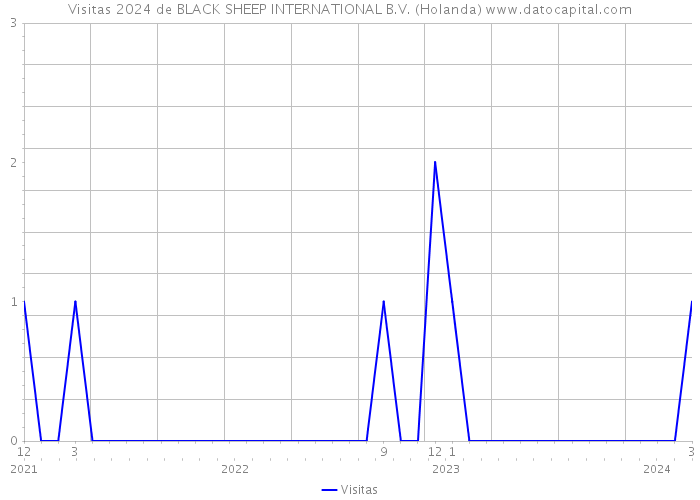 Visitas 2024 de BLACK SHEEP INTERNATIONAL B.V. (Holanda) 
