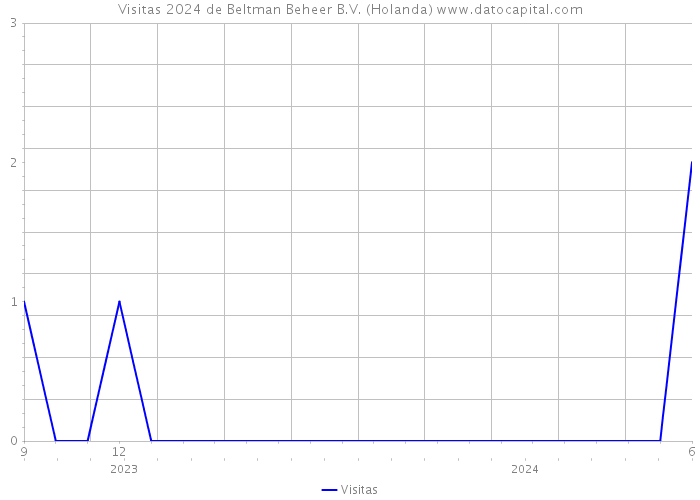 Visitas 2024 de Beltman Beheer B.V. (Holanda) 