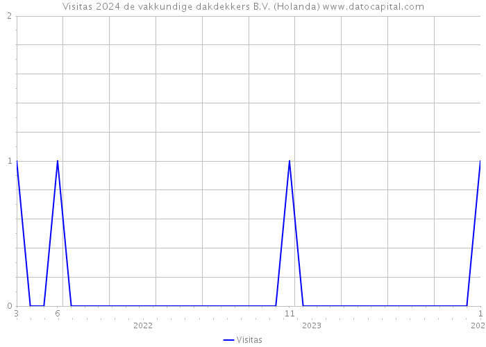 Visitas 2024 de vakkundige dakdekkers B.V. (Holanda) 