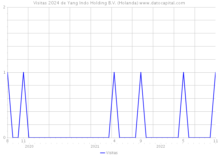 Visitas 2024 de Yang Indo Holding B.V. (Holanda) 
