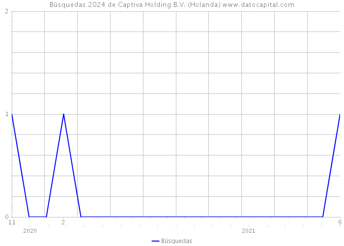 Búsquedas 2024 de Captiva Holding B.V. (Holanda) 