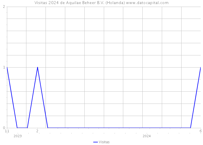 Visitas 2024 de Aquilae Beheer B.V. (Holanda) 