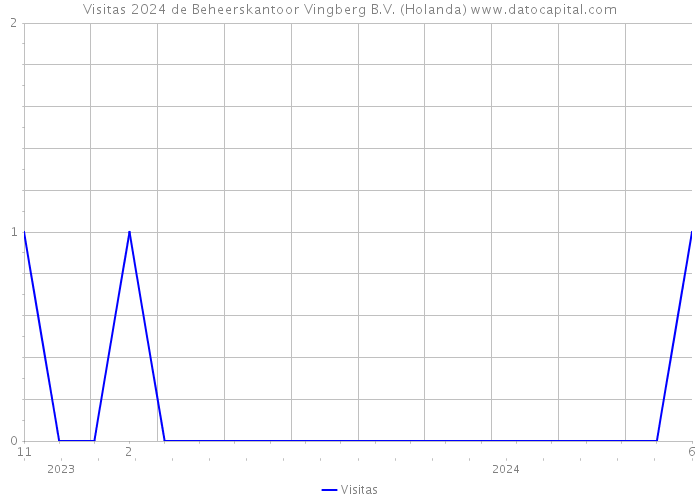 Visitas 2024 de Beheerskantoor Vingberg B.V. (Holanda) 