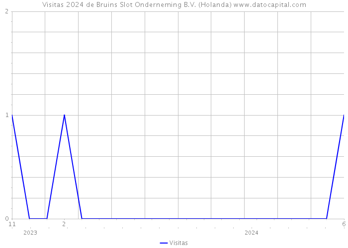Visitas 2024 de Bruins Slot Onderneming B.V. (Holanda) 