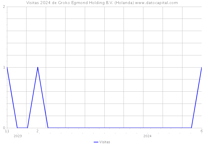 Visitas 2024 de Groko Egmond Holding B.V. (Holanda) 