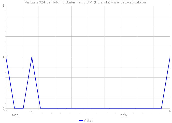 Visitas 2024 de Holding Buitenkamp B.V. (Holanda) 