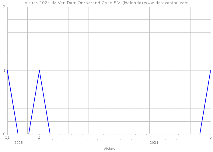 Visitas 2024 de Van Dam Onroerend Goed B.V. (Holanda) 