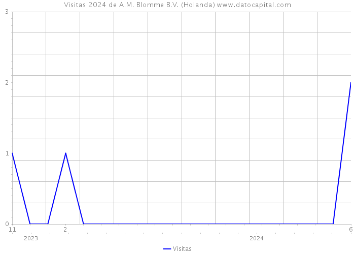 Visitas 2024 de A.M. Blomme B.V. (Holanda) 