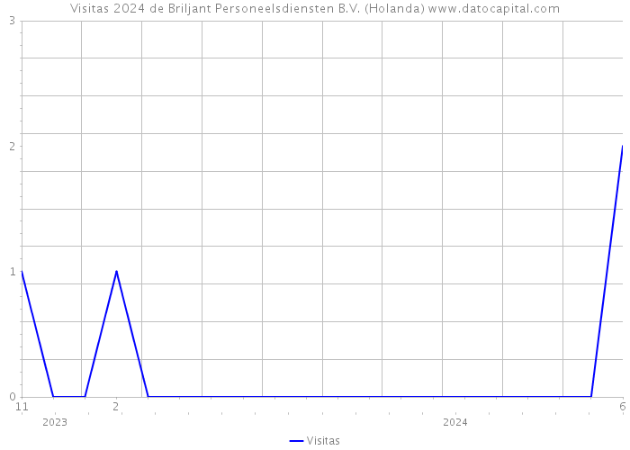 Visitas 2024 de Briljant Personeelsdiensten B.V. (Holanda) 