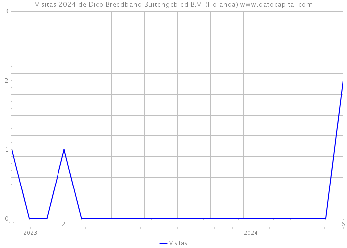 Visitas 2024 de Dico Breedband Buitengebied B.V. (Holanda) 