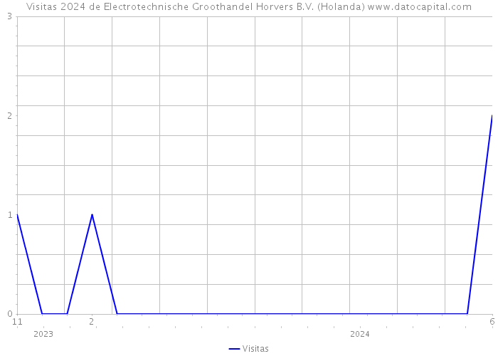 Visitas 2024 de Electrotechnische Groothandel Horvers B.V. (Holanda) 