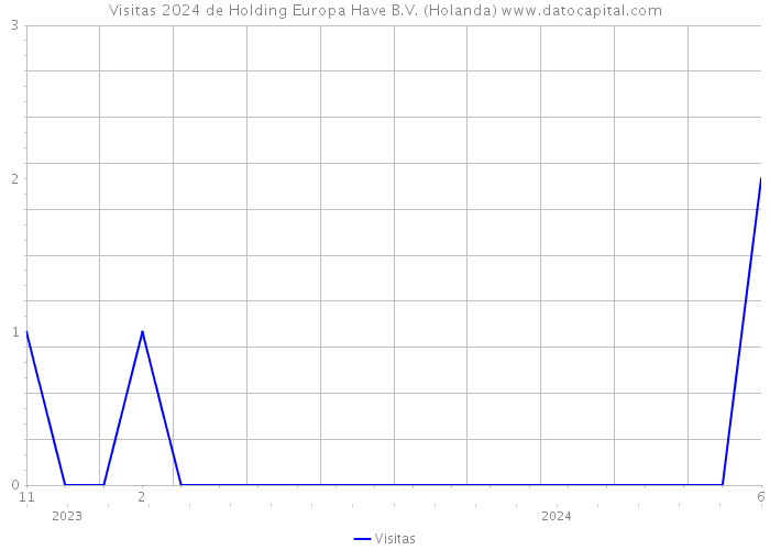 Visitas 2024 de Holding Europa Have B.V. (Holanda) 