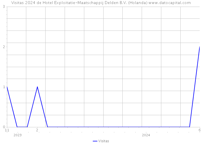 Visitas 2024 de Hotel Exploitatie-Maatschappij Delden B.V. (Holanda) 