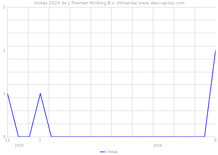 Visitas 2024 de J. Peeman Holding B.V. (Holanda) 