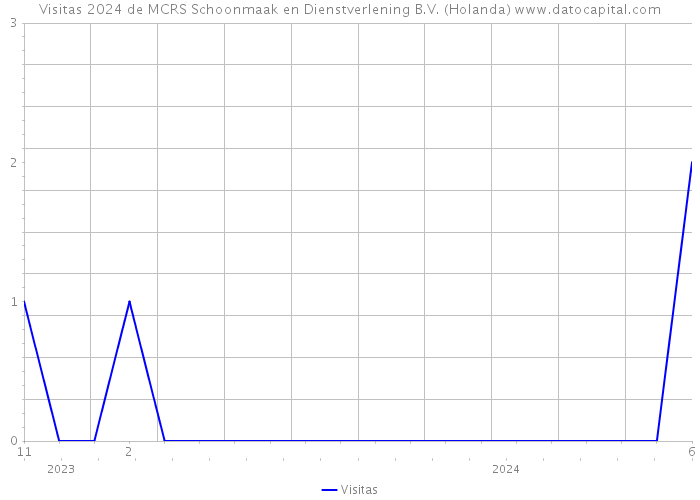 Visitas 2024 de MCRS Schoonmaak en Dienstverlening B.V. (Holanda) 