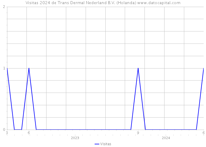 Visitas 2024 de Trans Dermal Nederland B.V. (Holanda) 