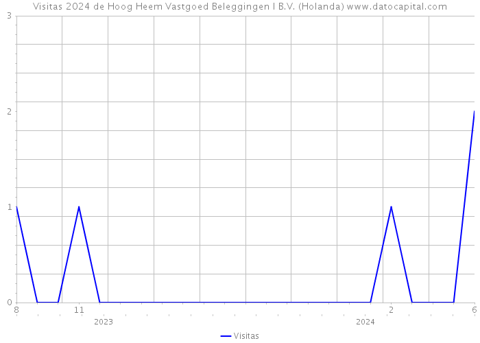 Visitas 2024 de Hoog Heem Vastgoed Beleggingen I B.V. (Holanda) 