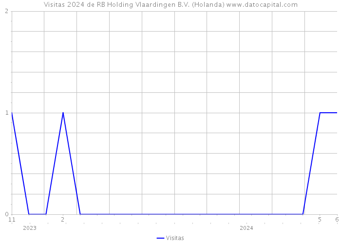 Visitas 2024 de RB Holding Vlaardingen B.V. (Holanda) 