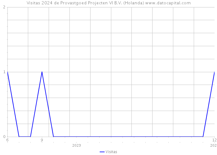 Visitas 2024 de Provastgoed Projecten VI B.V. (Holanda) 