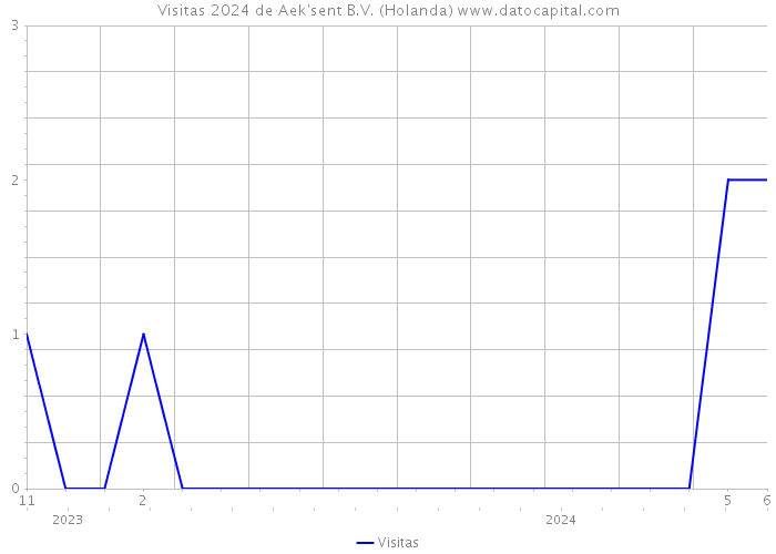 Visitas 2024 de Aek'sent B.V. (Holanda) 