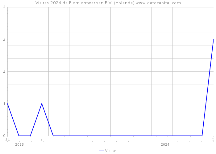 Visitas 2024 de Blom ontwerpen B.V. (Holanda) 