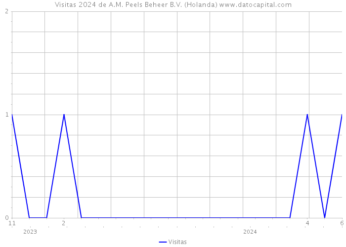 Visitas 2024 de A.M. Peels Beheer B.V. (Holanda) 