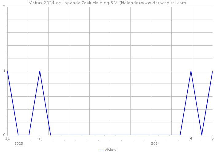Visitas 2024 de Lopende Zaak Holding B.V. (Holanda) 