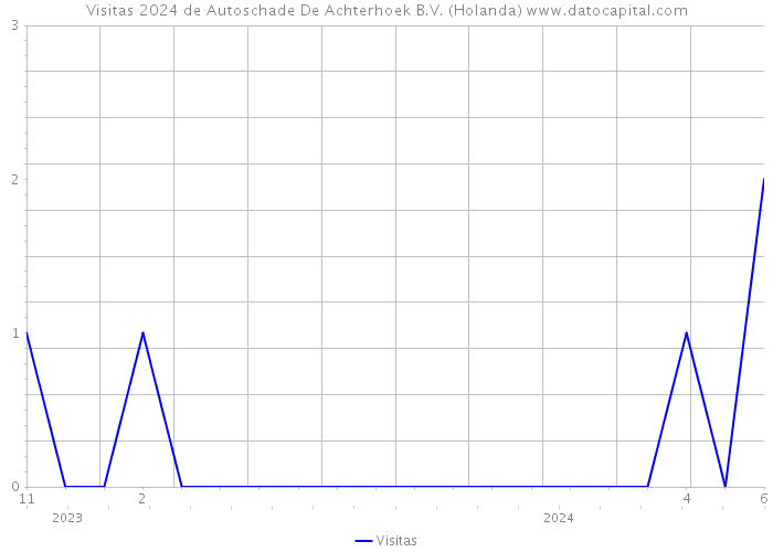 Visitas 2024 de Autoschade De Achterhoek B.V. (Holanda) 