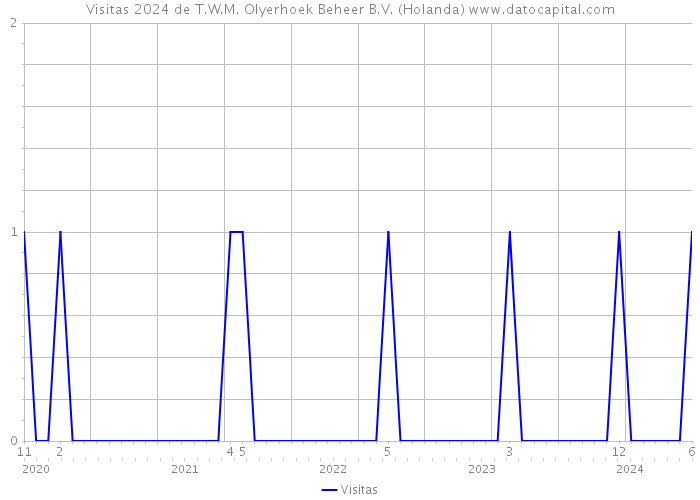 Visitas 2024 de T.W.M. Olyerhoek Beheer B.V. (Holanda) 