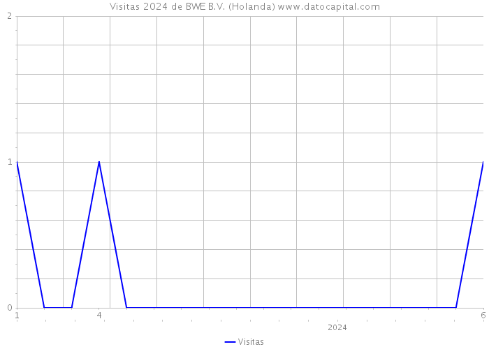 Visitas 2024 de BWE B.V. (Holanda) 