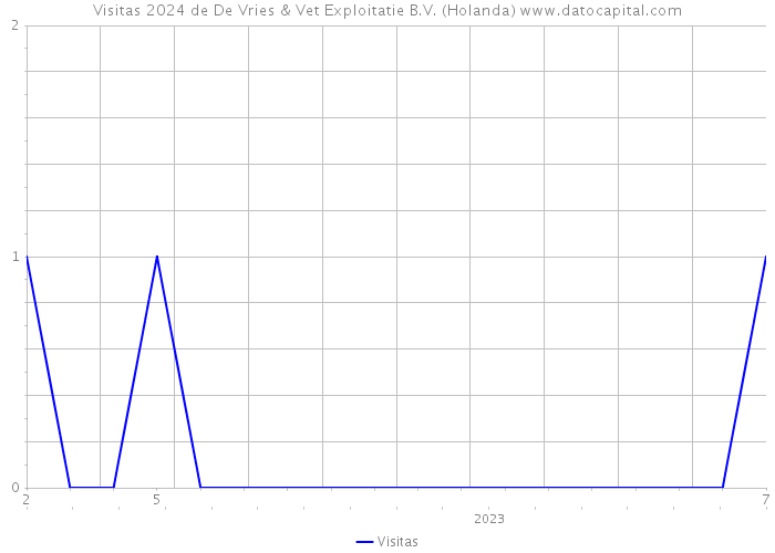 Visitas 2024 de De Vries & Vet Exploitatie B.V. (Holanda) 