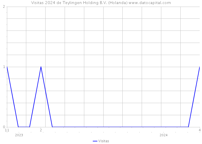 Visitas 2024 de Teylingen Holding B.V. (Holanda) 