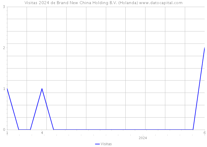 Visitas 2024 de Brand New China Holding B.V. (Holanda) 