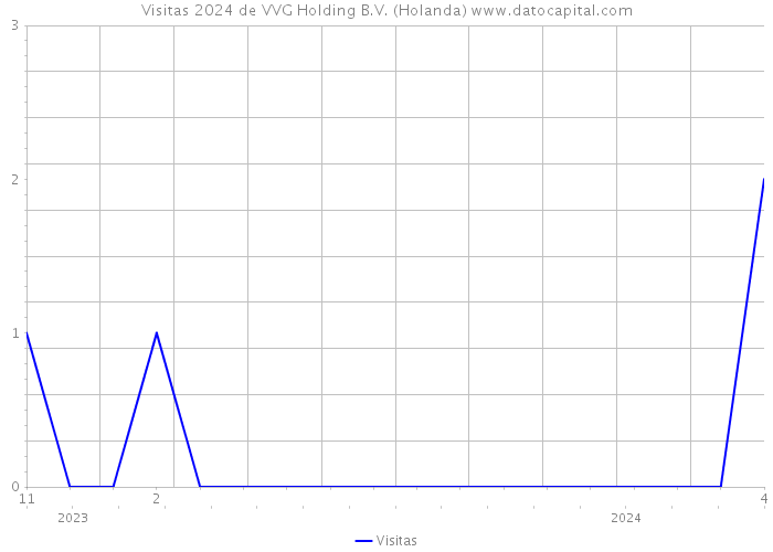 Visitas 2024 de VVG Holding B.V. (Holanda) 