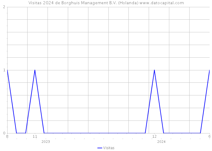 Visitas 2024 de Borghuis Management B.V. (Holanda) 