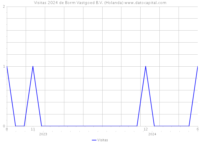 Visitas 2024 de Borm Vastgoed B.V. (Holanda) 