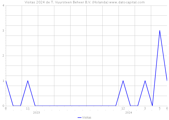 Visitas 2024 de T. Vuursteen Beheer B.V. (Holanda) 